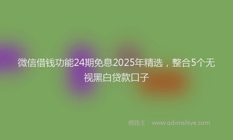 微信借钱功能24期免息2025年精选，整合5个无视黑白贷款口子