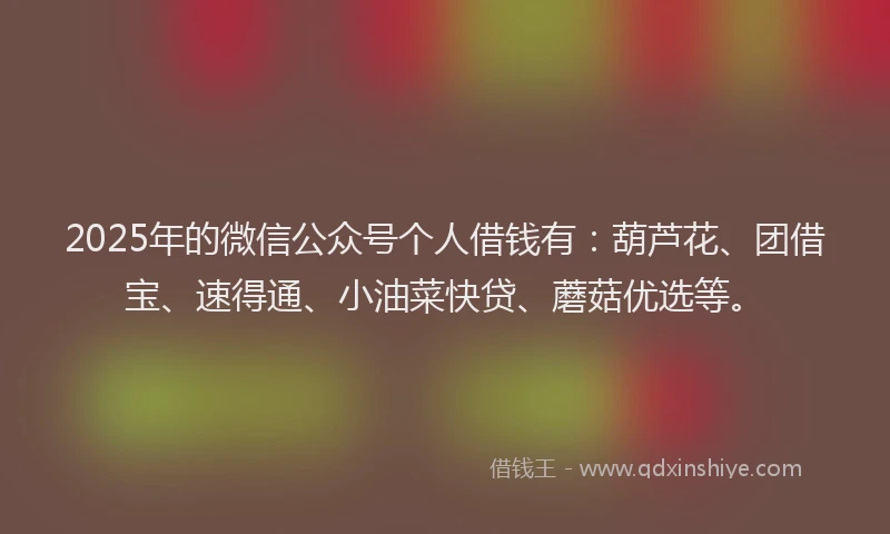 2025年的微信公众号个人借钱有：葫芦花、团借宝、速得通、小油菜快贷、蘑菇优选等。