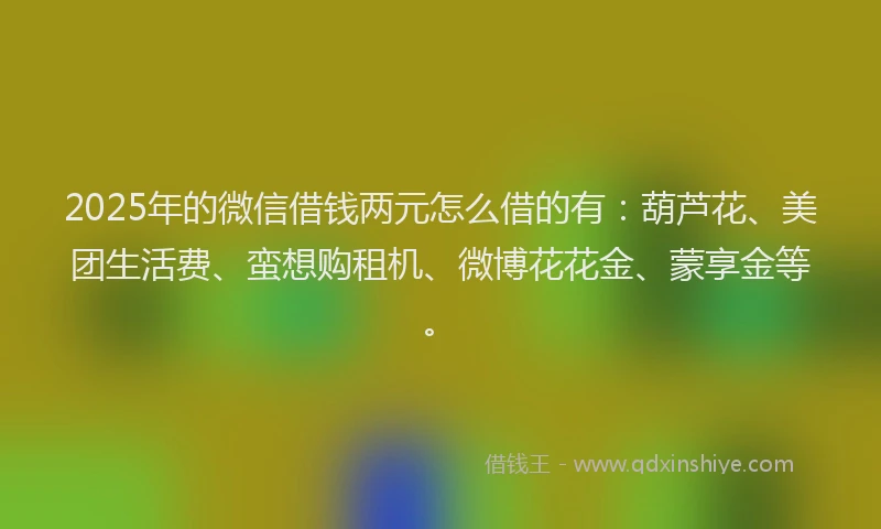 2025年的微信借钱两元怎么借的有：葫芦花、美团生活费、蛮想购租机、微博花花金、蒙享金等。