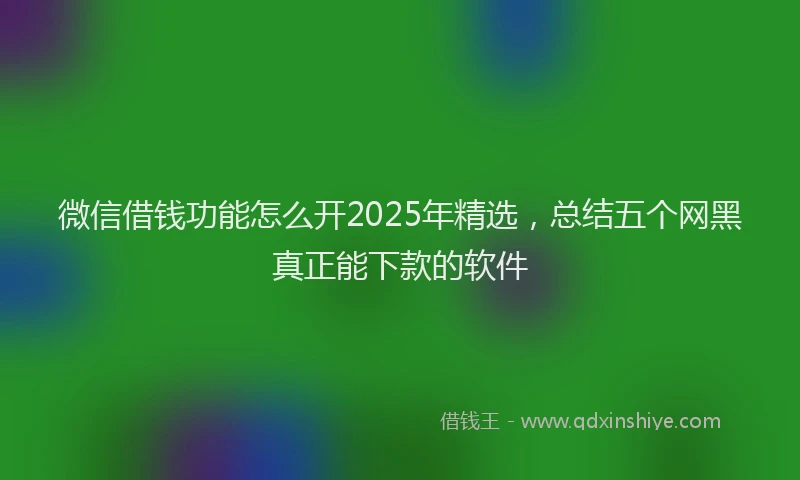 微信借钱功能怎么开2025年精选，总结五个网黑真正能下款的软件