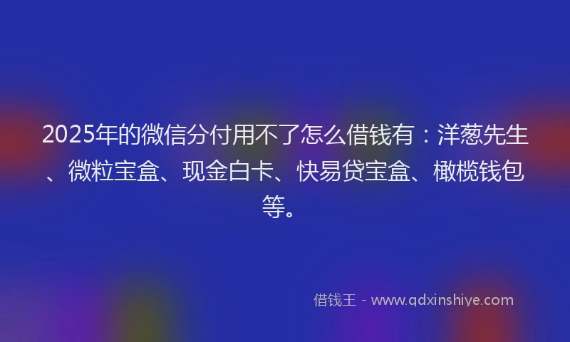 2025年的微信分付用不了怎么借钱有：洋葱先生、微粒宝盒、现金白卡、快易贷宝盒、橄榄钱包等。