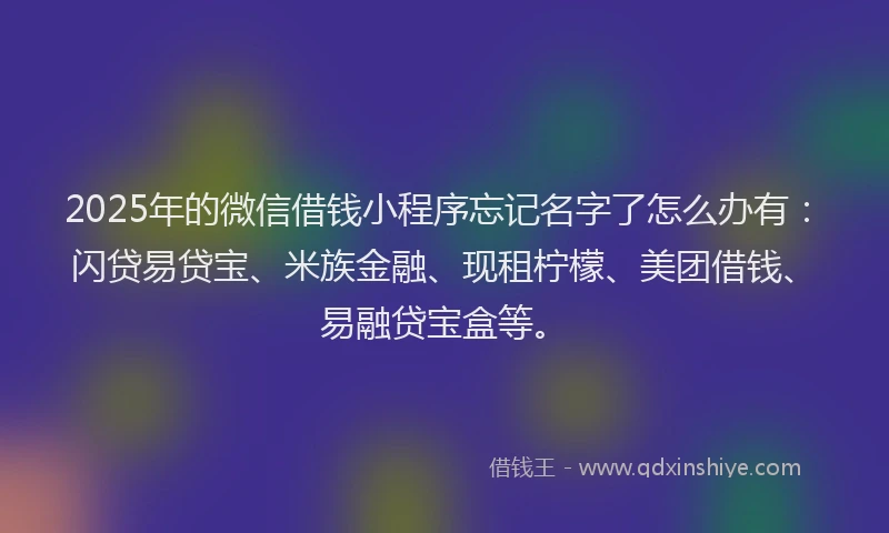 2025年的微信借钱小程序忘记名字了怎么办有：闪贷易贷宝、米族金融、现租柠檬、美团借钱、易融贷宝盒等。