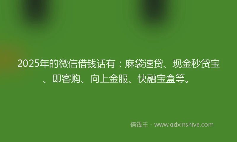 2025年的微信借钱话有：麻袋速贷、现金秒贷宝、即客购、向上金服、快融宝盒等。