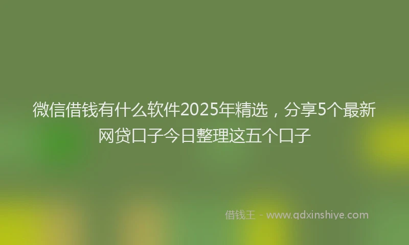 微信借钱有什么软件2025年精选，分享5个最新网贷口子今日整理这五个口子