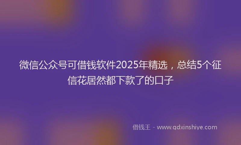 微信公众号可借钱软件2025年精选，总结5个征信花居然都下款了的口子