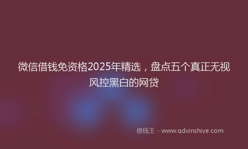 微信借钱免资格2025年精选，盘点五个真正无视风控黑白的网贷