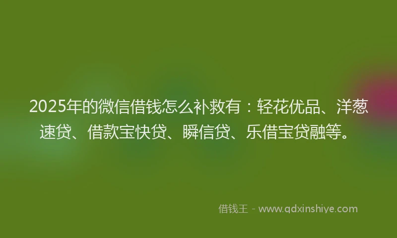 2025年的微信借钱怎么补救有：轻花优品、洋葱速贷、借款宝快贷、瞬信贷、乐借宝贷融等。