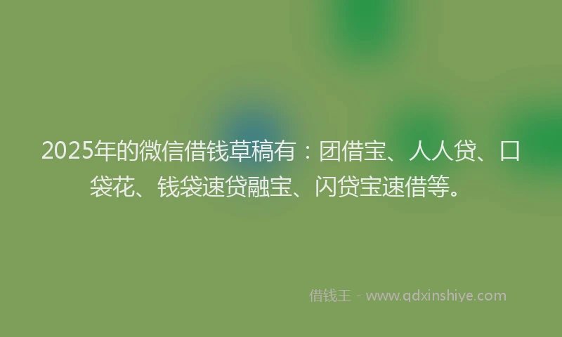 2025年的微信借钱草稿有：团借宝、人人贷、口袋花、钱袋速贷融宝、闪贷宝速借等。