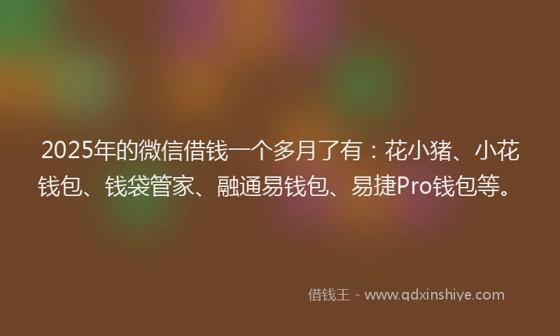 2025年的微信借钱一个多月了有：花小猪、小花钱包、钱袋管家、融通易钱包、易捷Pro钱包等。