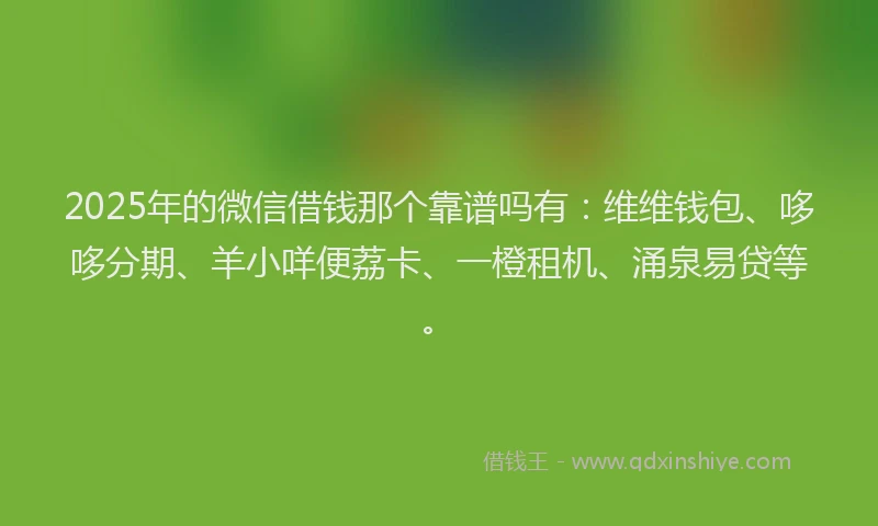 2025年的微信借钱那个靠谱吗有：维维钱包、哆哆分期、羊小咩便荔卡、一橙租机、涌泉易贷等。