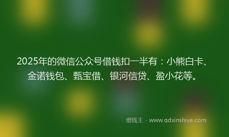 2025年的微信公众号借钱扣一半有：小熊白卡、金诺钱包、甄宝借、银河信贷、盈小花等。