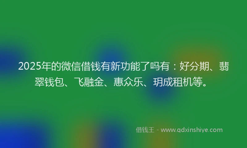 2025年的微信借钱有新功能了吗有：好分期、翡翠钱包、飞融金、惠众乐、玥成租机等。