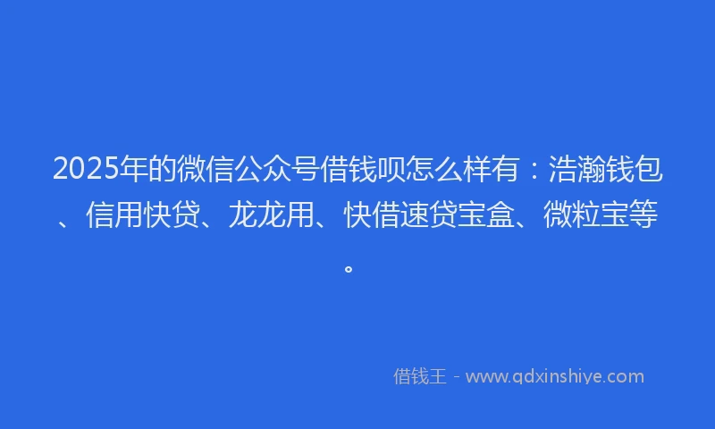 2025年的微信公众号借钱呗怎么样有：浩瀚钱包、信用快贷、龙龙用、快借速贷宝盒、微粒宝等。