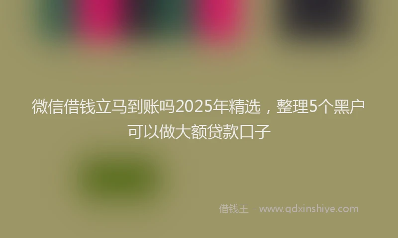 微信借钱立马到账吗2025年精选，整理5个黑户可以做大额贷款口子