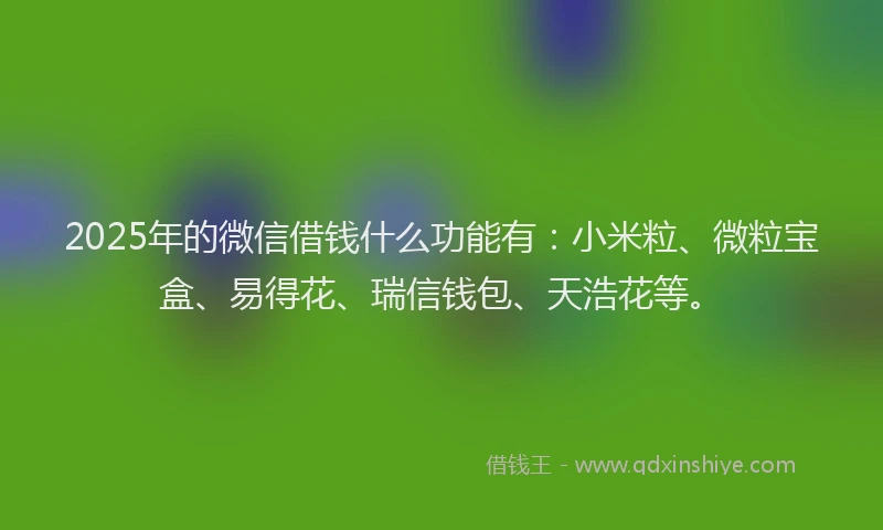 2025年的微信借钱什么功能有：小米粒、微粒宝盒、易得花、瑞信钱包、天浩花等。