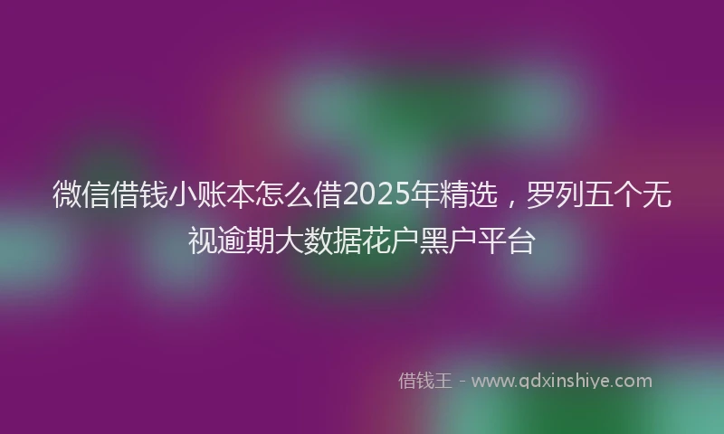微信借钱小账本怎么借2025年精选，罗列五个无视逾期大数据花户黑户平台
