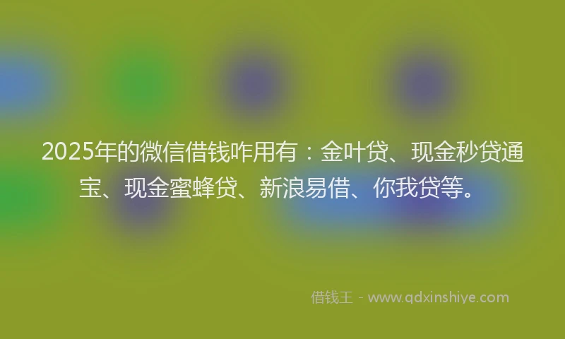 2025年的微信借钱咋用有：金叶贷、现金秒贷通宝、现金蜜蜂贷、新浪易借、你我贷等。