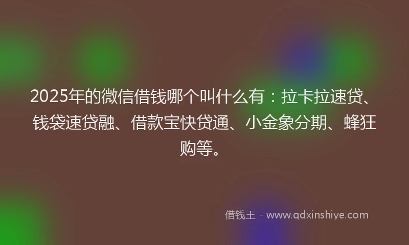 2025年的微信借钱哪个叫什么有：拉卡拉速贷、钱袋速贷融、借款宝快贷通、小金象分期、蜂狂购等。