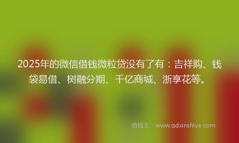 2025年的微信借钱微粒贷没有了有：吉祥购、钱袋易借、树融分期、千亿商城、浙享花等。