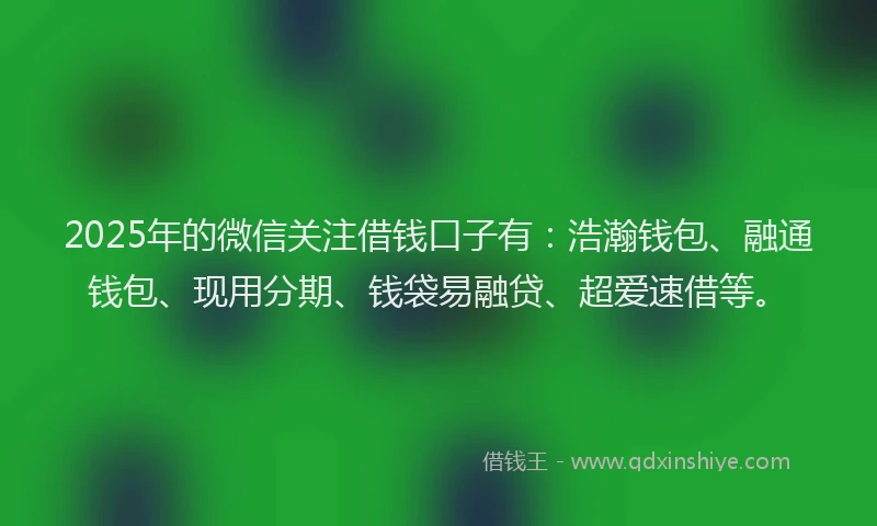 2025年的微信关注借钱口子有：浩瀚钱包、融通钱包、现用分期、钱袋易融贷、超爱速借等。