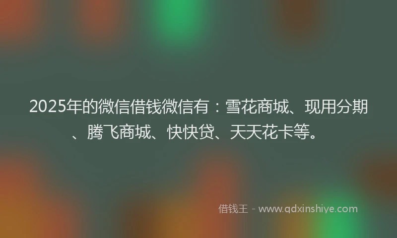 2025年的微信借钱微信有：雪花商城、现用分期、腾飞商城、快快贷、天天花卡等。