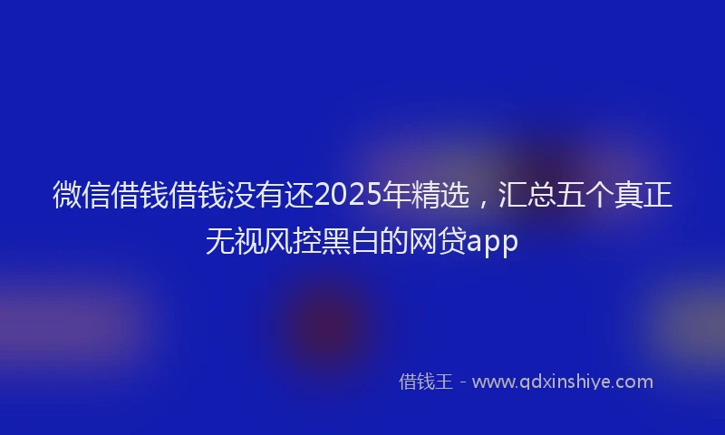 微信借钱借钱没有还2025年精选，汇总五个真正无视风控黑白的网贷app