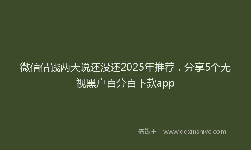 微信借钱两天说还没还2025年推荐，分享5个无视黑户百分百下款app