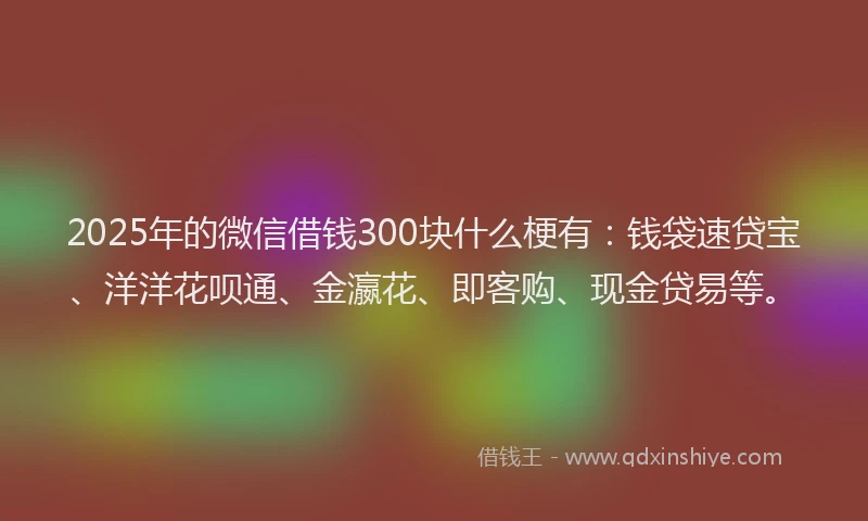 2025年的微信借钱300块什么梗有：钱袋速贷宝、洋洋花呗通、金瀛花、即客购、现金贷易等。