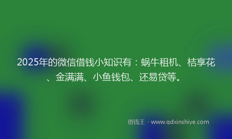 2025年的微信借钱小知识有：蜗牛租机、桔享花、金满满、小鱼钱包、还易贷等。