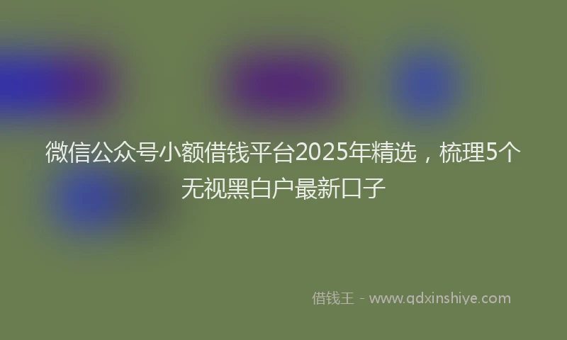 微信公众号小额借钱平台2025年精选，梳理5个无视黑白户最新口子