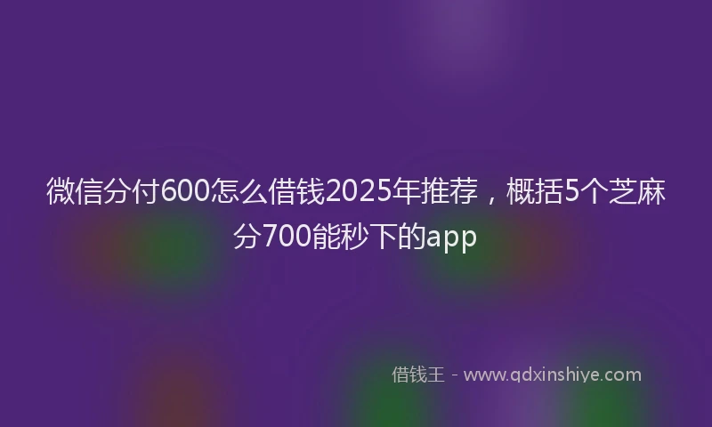 微信分付600怎么借钱2025年推荐，概括5个芝麻分700能秒下的app