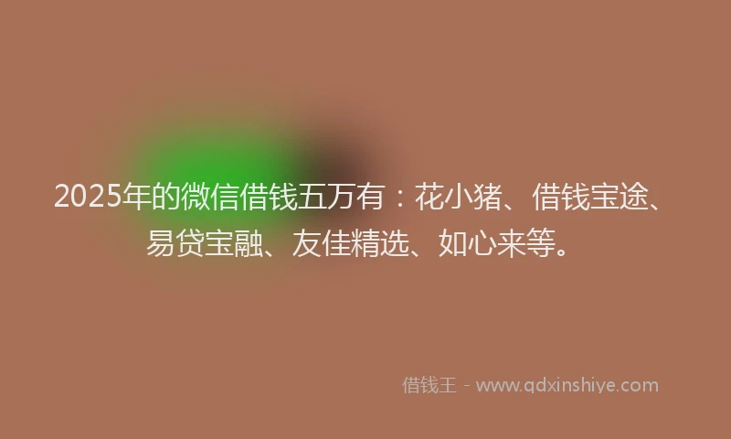 2025年的微信借钱五万有：花小猪、借钱宝途、易贷宝融、友佳精选、如心来等。