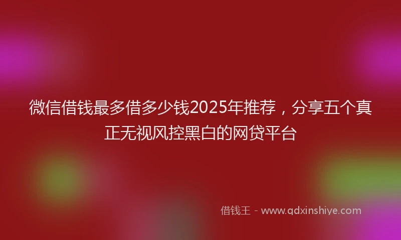 微信借钱最多借多少钱2025年推荐，分享五个真正无视风控黑白的网贷平台