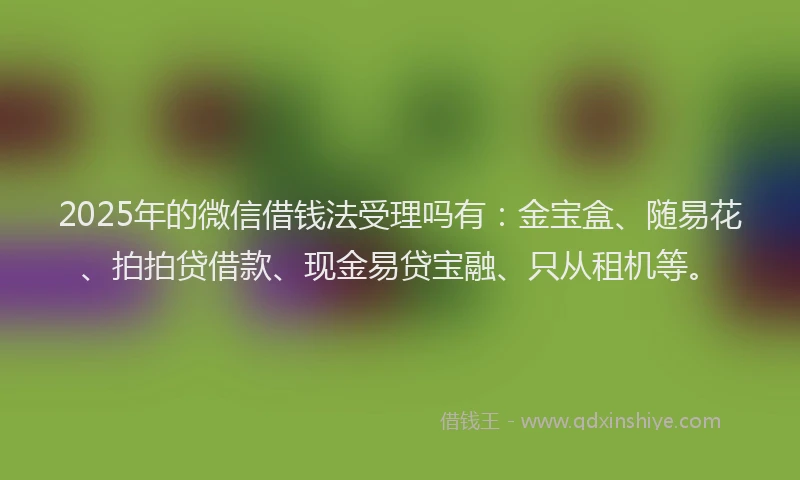 2025年的微信借钱法受理吗有：金宝盒、随易花、拍拍贷借款、现金易贷宝融、只从租机等。