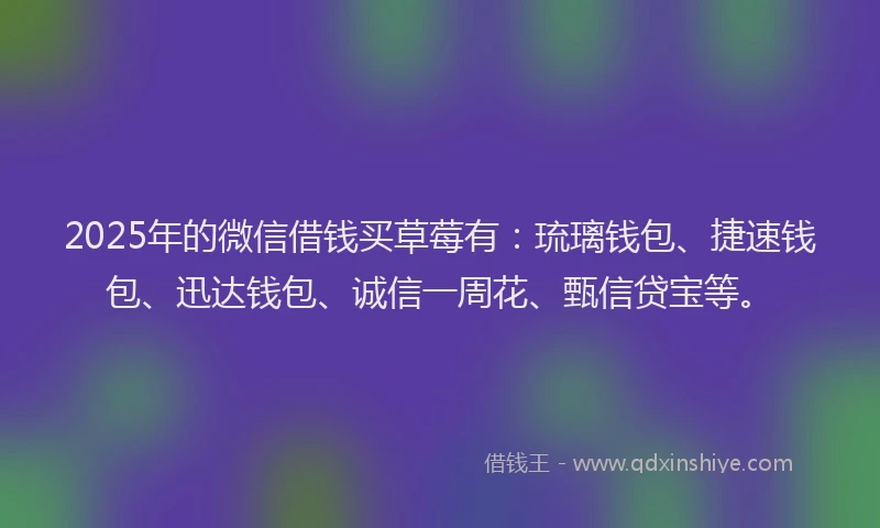 2025年的微信借钱买草莓有：琉璃钱包、捷速钱包、迅达钱包、诚信一周花、甄信贷宝等。