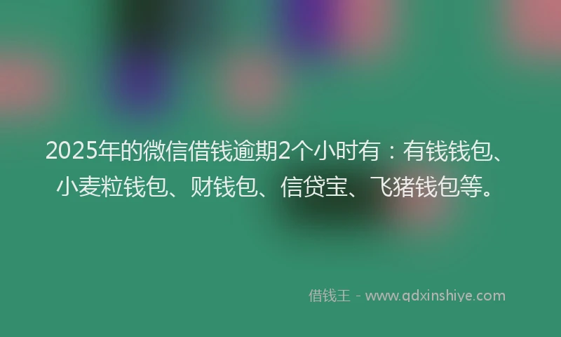 2025年的微信借钱逾期2个小时有：有钱钱包、小麦粒钱包、财钱包、信贷宝、飞猪钱包等。
