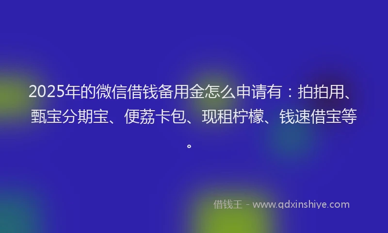 2025年的微信借钱备用金怎么申请有：拍拍用、甄宝分期宝、便荔卡包、现租柠檬、钱速借宝等。