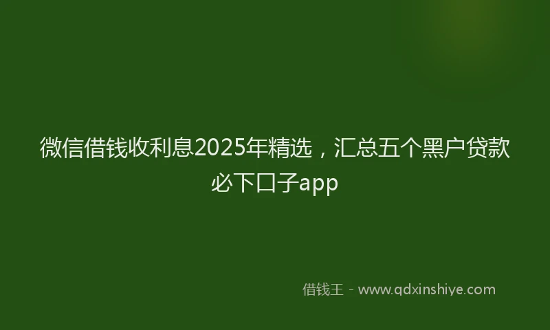 微信借钱收利息2025年精选，汇总五个黑户贷款必下口子app