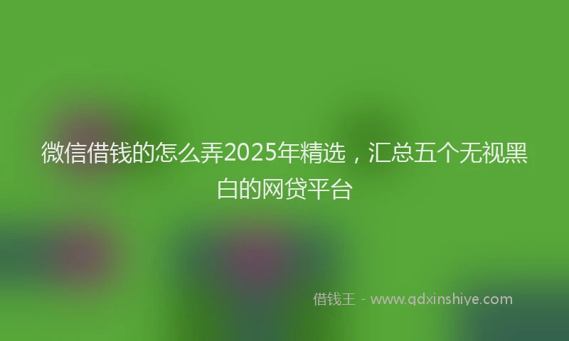 微信借钱的怎么弄2025年精选，汇总五个无视黑白的网贷平台