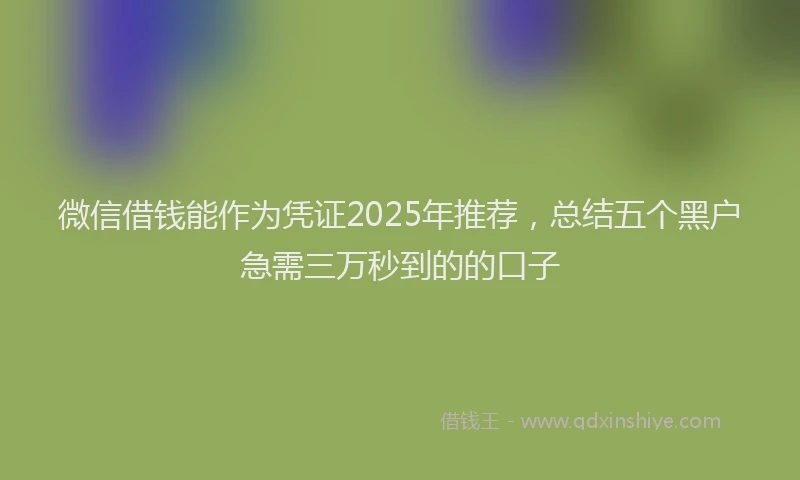 微信借钱能作为凭证2025年推荐，总结五个黑户急需三万秒到的的口子