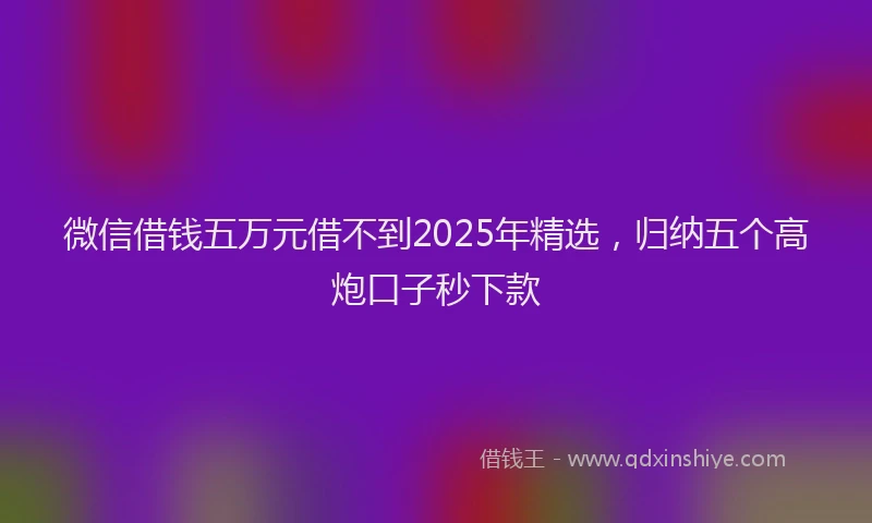 微信借钱五万元借不到2025年精选，归纳五个高炮口子秒下款