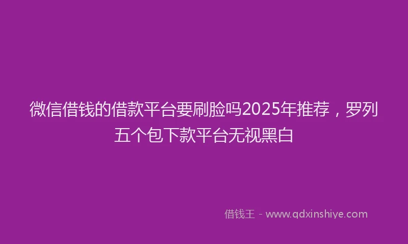 微信借钱的借款平台要刷脸吗2025年推荐，罗列五个包下款平台无视黑白