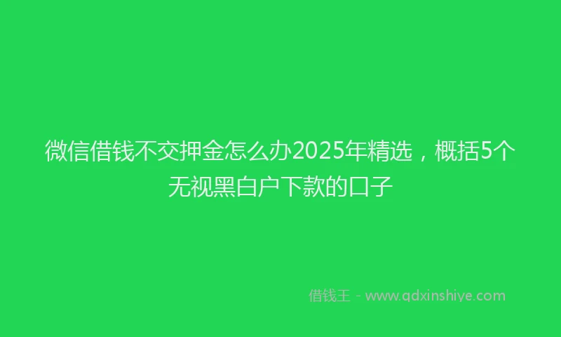 微信借钱不交押金怎么办2025年精选，概括5个无视黑白户下款的口子