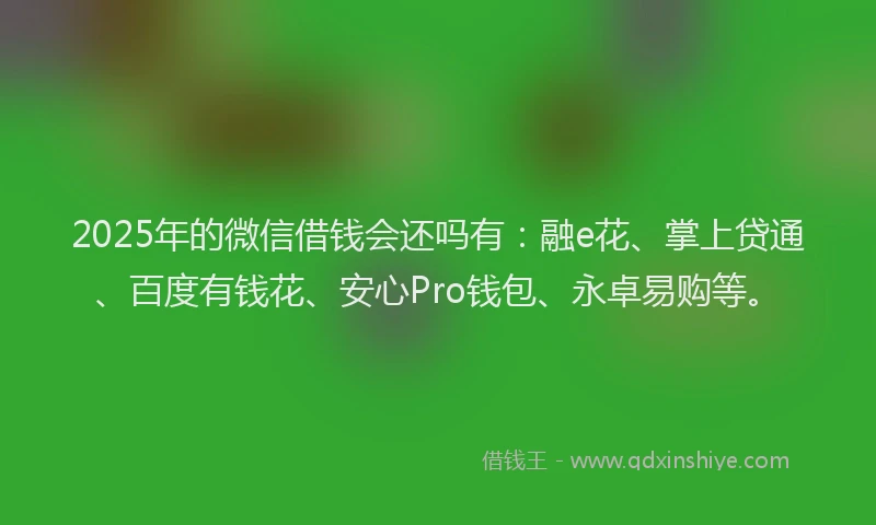 2025年的微信借钱会还吗有：融e花、掌上贷通、百度有钱花、安心Pro钱包、永卓易购等。