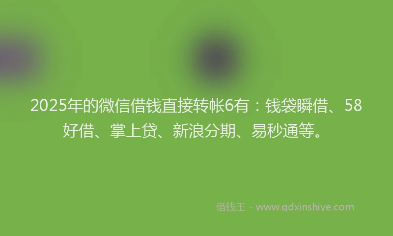 2025年的微信借钱直接转帐6有：钱袋瞬借、58好借、掌上贷、新浪分期、易秒通等。