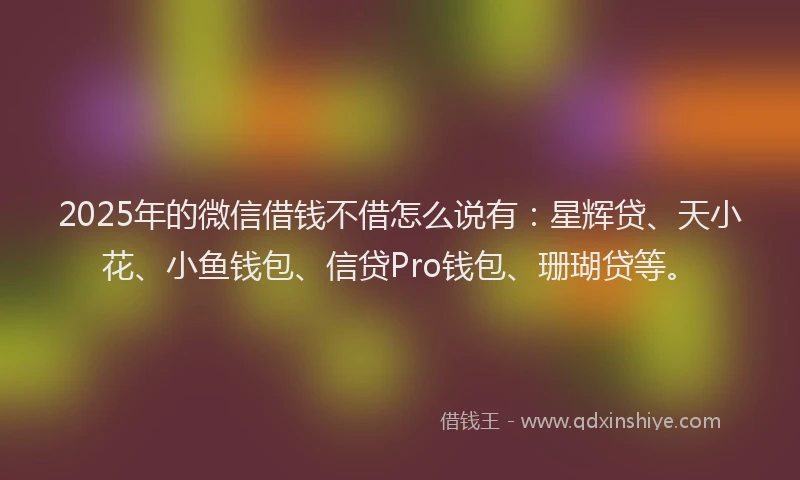 2025年的微信借钱不借怎么说有：星辉贷、天小花、小鱼钱包、信贷Pro钱包、珊瑚贷等。
