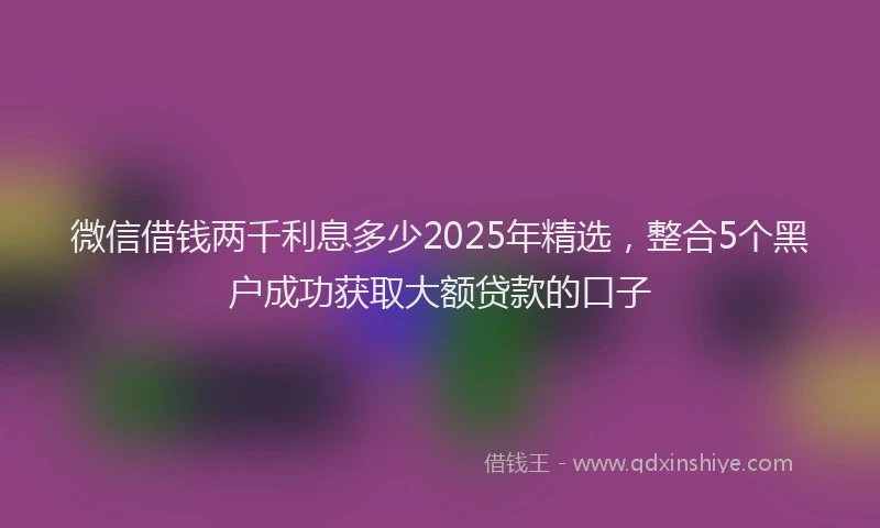 微信借钱两千利息多少2025年精选，整合5个黑户成功获取大额贷款的口子