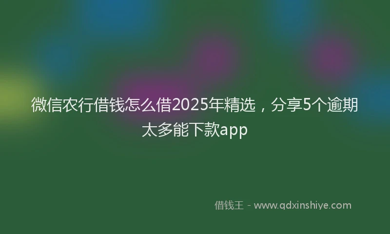 微信农行借钱怎么借2025年精选，分享5个逾期太多能下款app