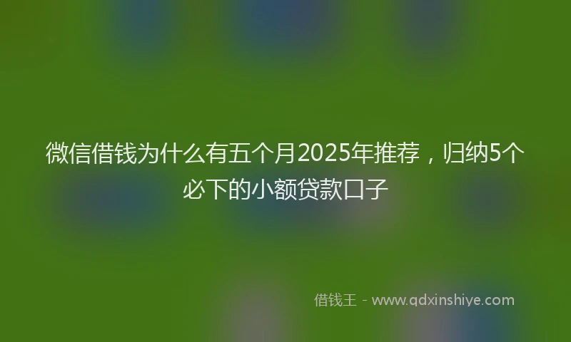 微信借钱为什么有五个月2025年推荐，归纳5个必下的小额贷款口子