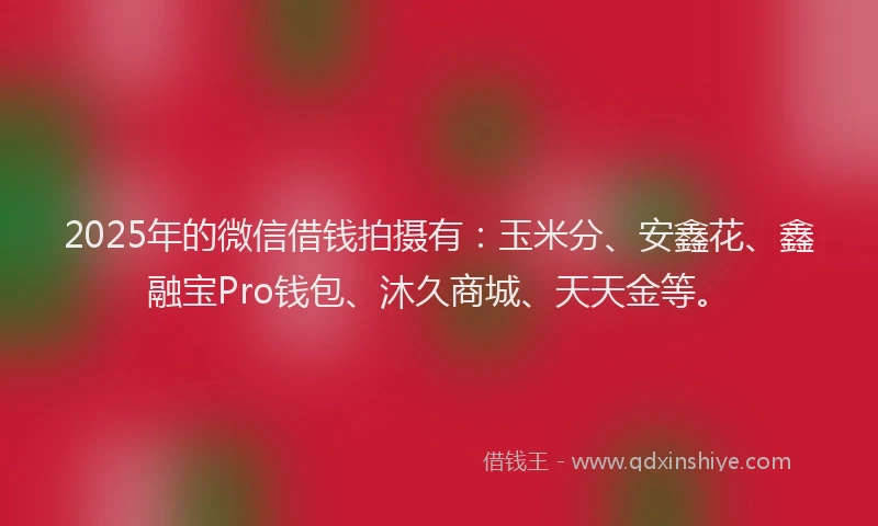 2025年的微信借钱拍摄有：玉米分、安鑫花、鑫融宝Pro钱包、沐久商城、天天金等。